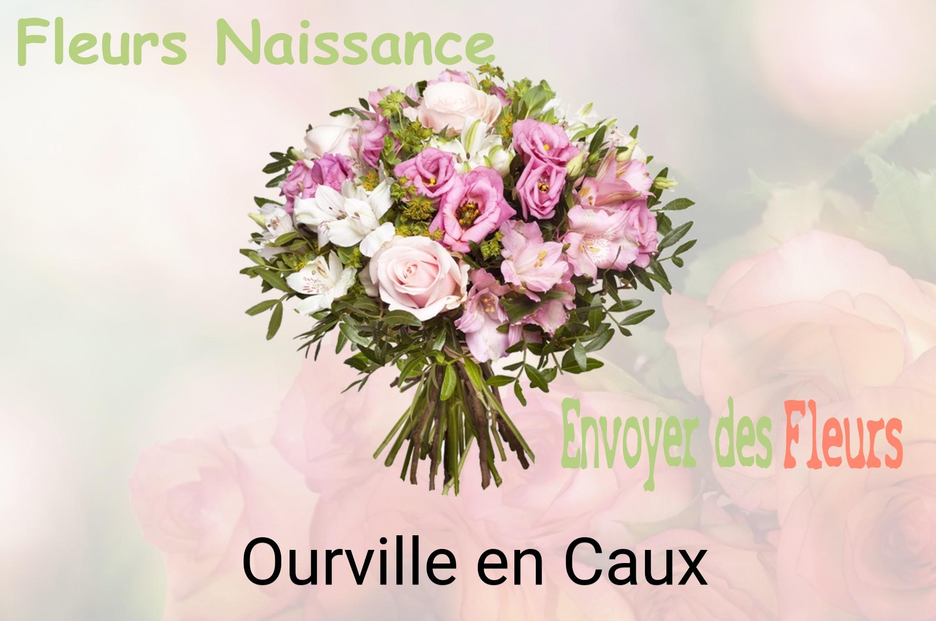 Bouquet de fleurs de naissance livré à Ourville-en-Caux